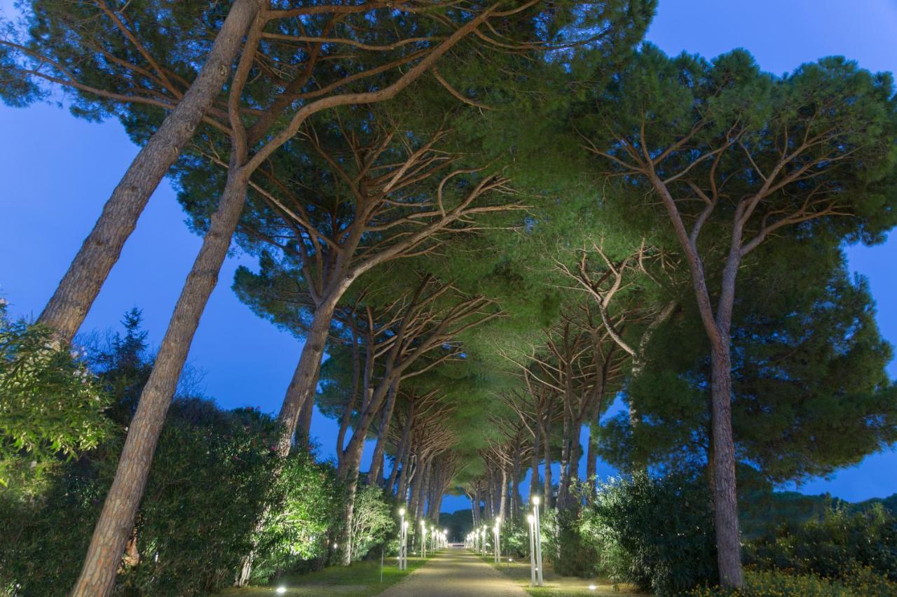 Park Hotel Marinetta Marina Di Bibbona Esterno foto